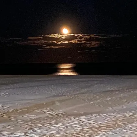 公寓 New Stylish Front 库列拉